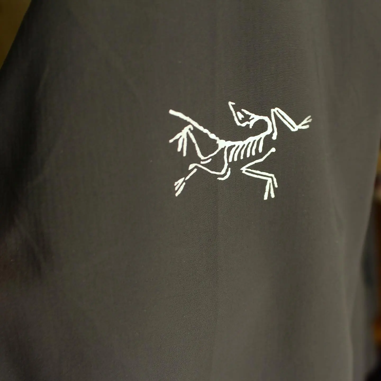 Arc’teryx Epsilon jacket by “STAX”, view 2 of 5